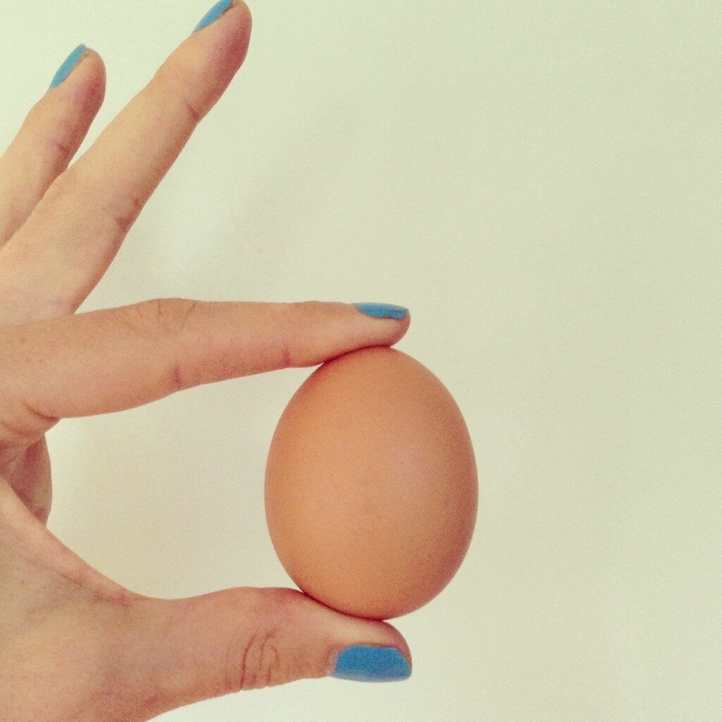 egg